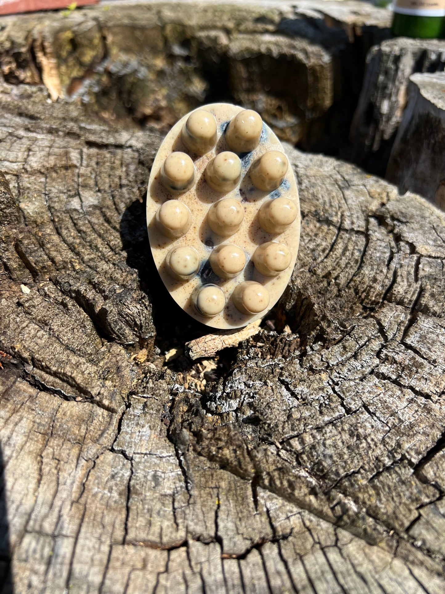 The works shampoo bar